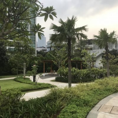 Landscaping-Setiabudi-Skygarden-and-Fraser-Place